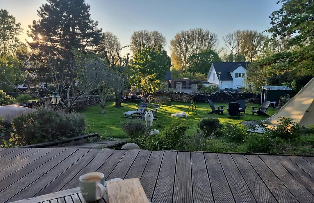 Schoenste Lage Am Rhein In Unmittelbarer Stadtnaehe, B & B-1